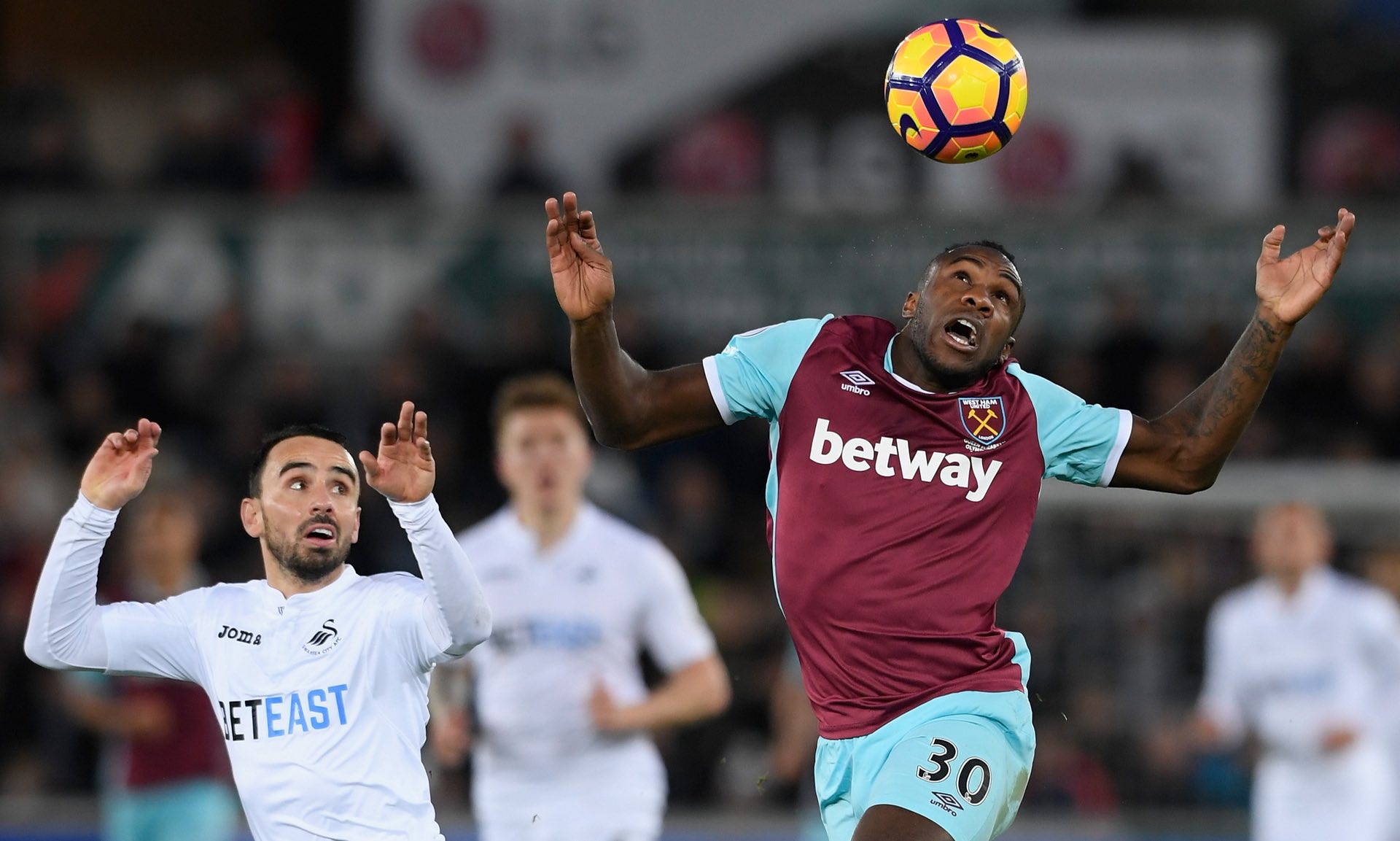 注与期待 注与期待